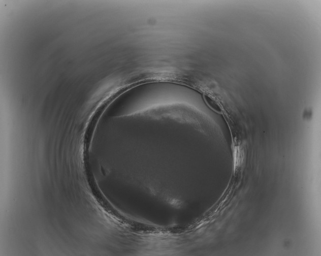 X0000094350243200711091459