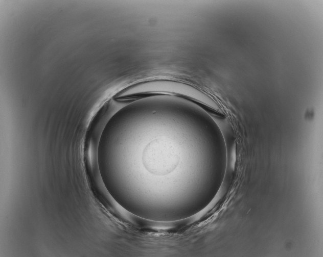 X0000094350244200711091459