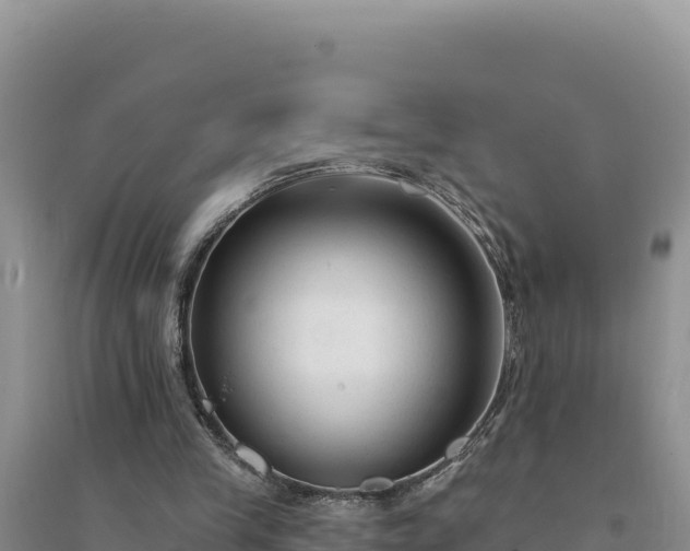 X0000094350245200711091459