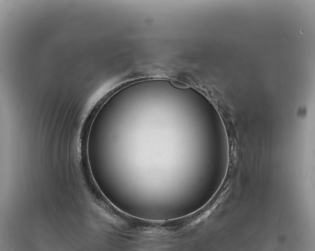 X0000094350246200711091459