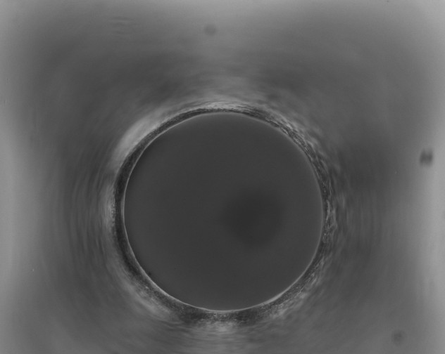 X0000094350247200711091459