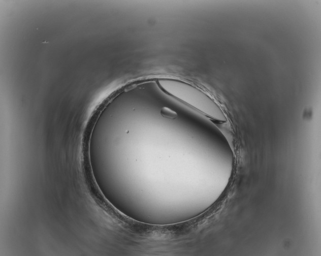 X0000094350248200711091459