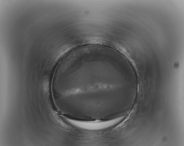 X0000094350249200711091459