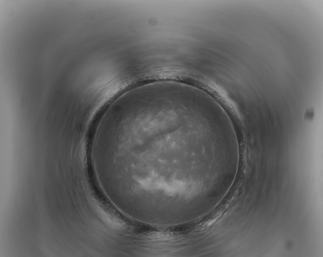 X0000094350250200711091459