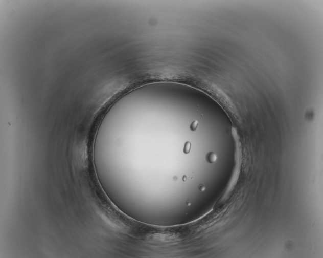 X0000094350251200711091459