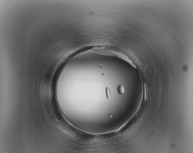 X0000094350252200711091459