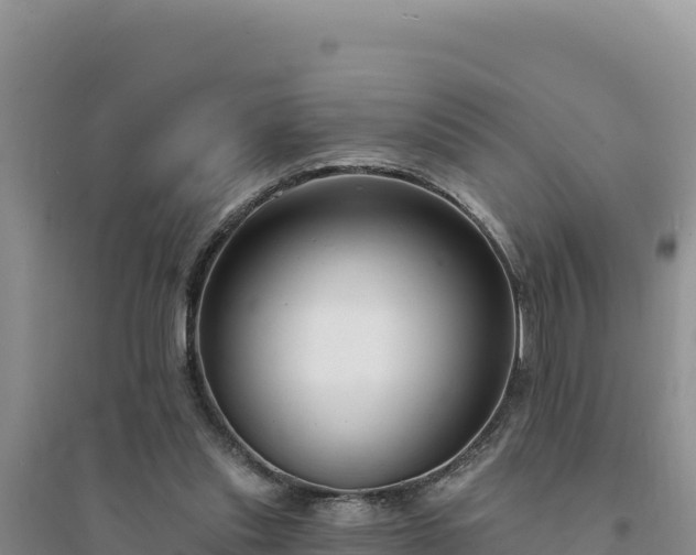 X0000094350253200711091459