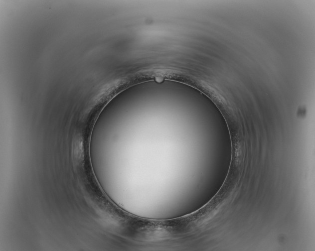 X0000094350254200711091459