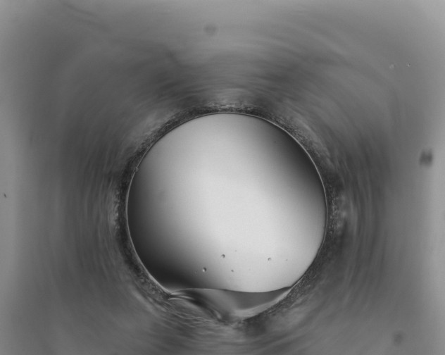 X0000094350255200711091459