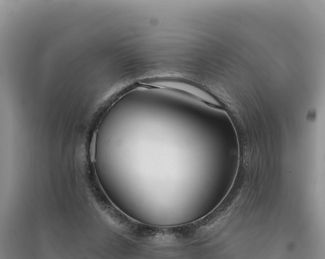 X0000094350256200711091459