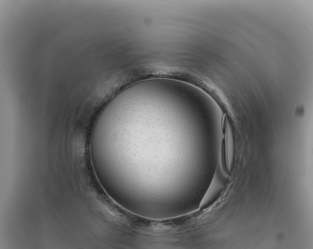 X0000094350257200711091459