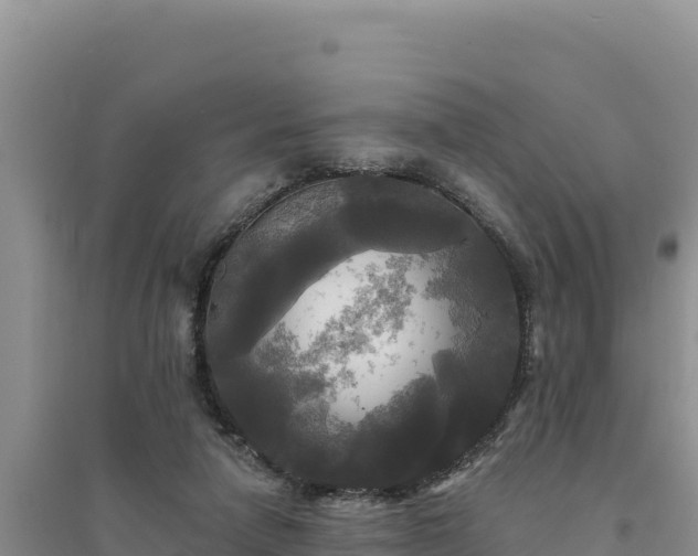 X0000094350258200711091459