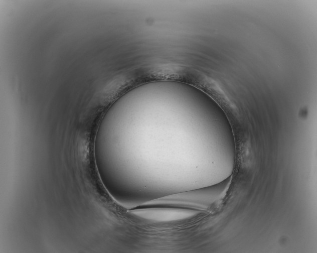 X0000094350259200711091459