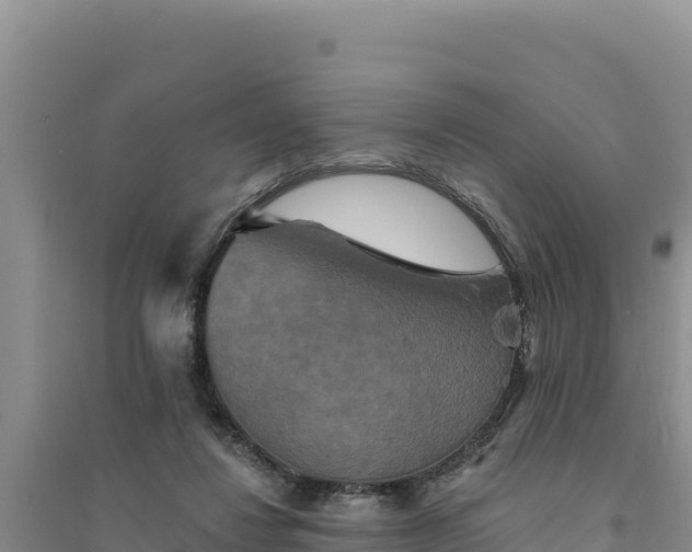 X0000094350260200711091459