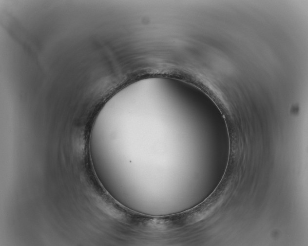 X0000094350261200711091459