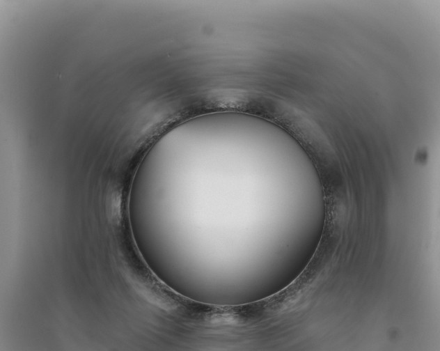 X0000094350262200711091459