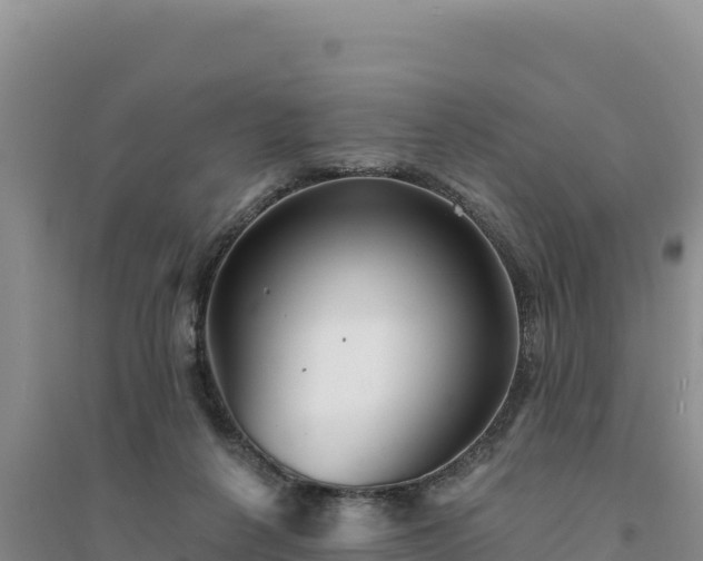 X0000094350264200711091459