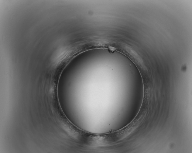 X0000094350265200711091459