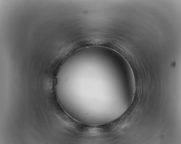 X0000094350268200711091459