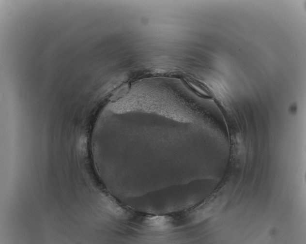 X0000094350269200711091459