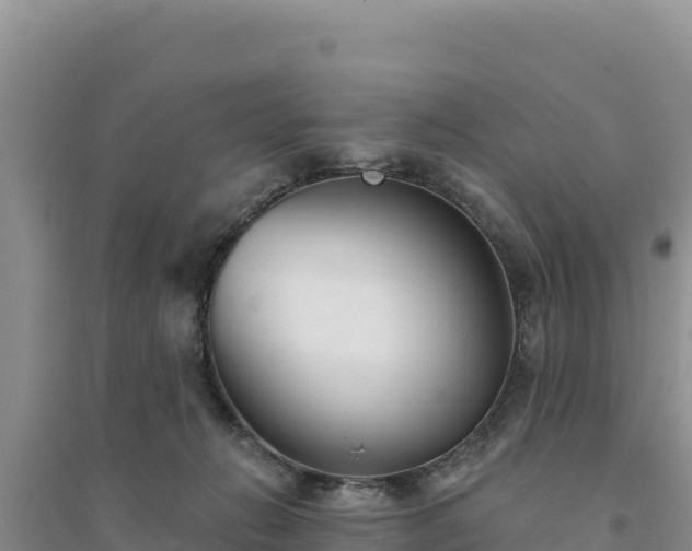 X0000094350270200711091459