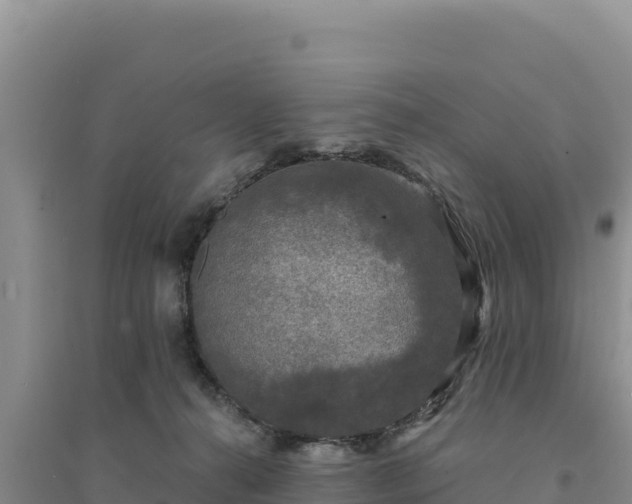 X0000094350272200711091459