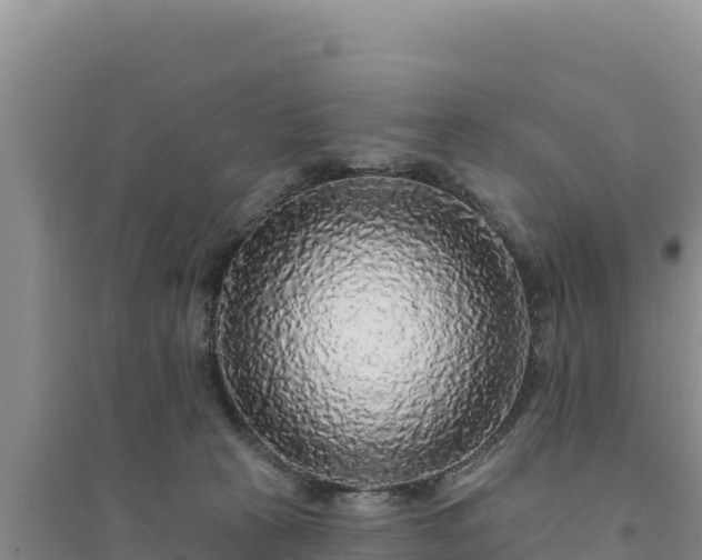 X0000094350273200711091459