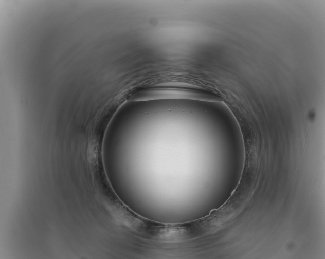 X0000094350274200711091459