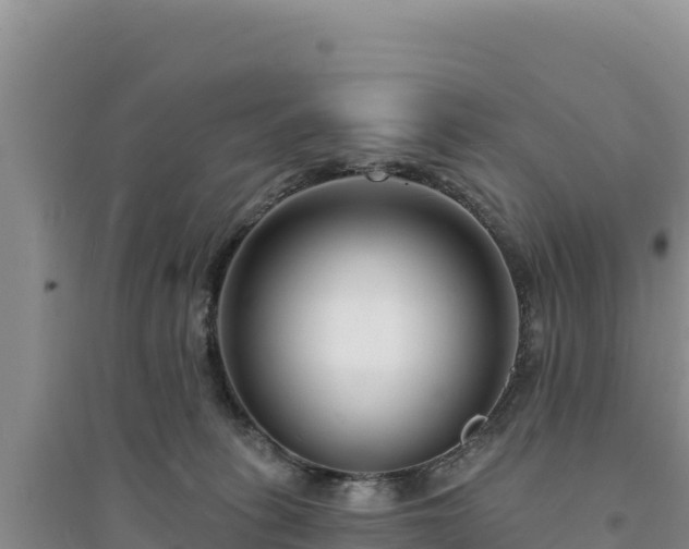 X0000094350275200711091459