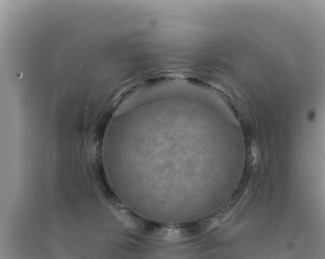 X0000094350276200711091459