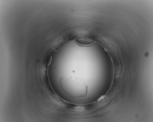 X0000094350279200711091459