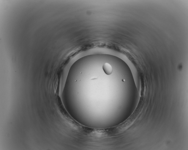 X0000094350280200711091459