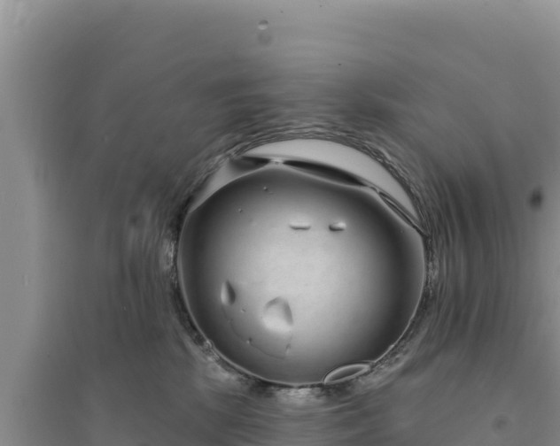 X0000094350281200711091459