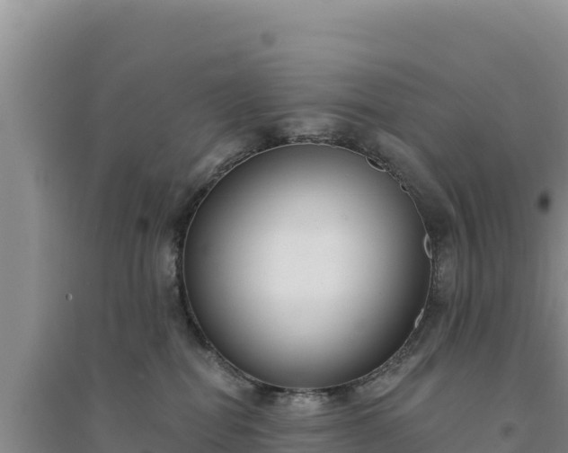 X0000094350282200711091459