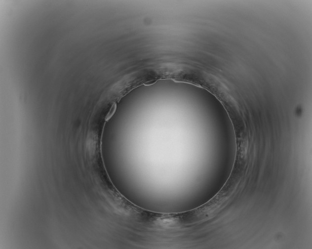 X0000094350283200711091459