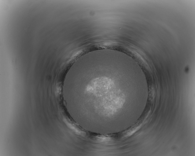 X0000094350284200711091459