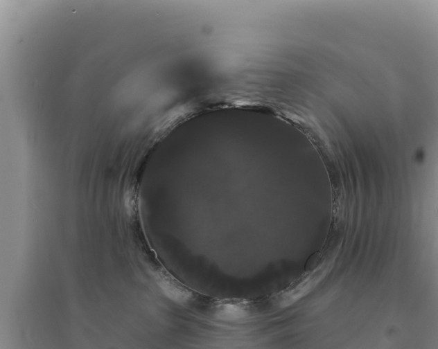 X0000094350285200711091459