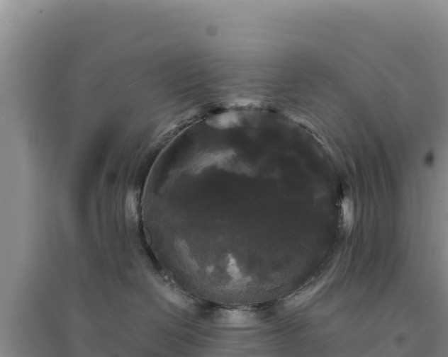 X0000094350286200711091459