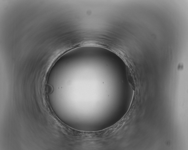 X0000094350289200711091459