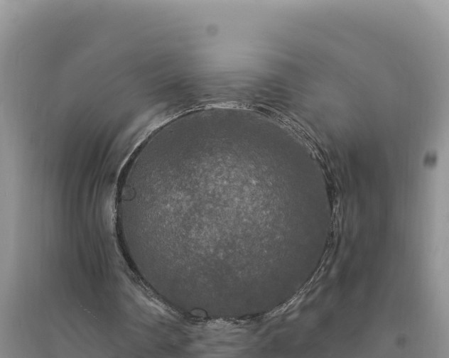 X0000094350290200711091459