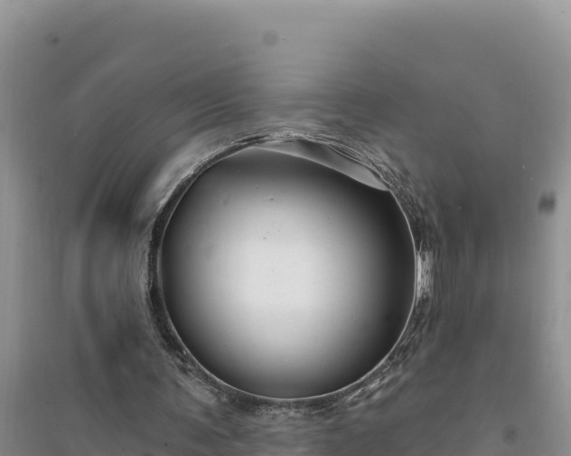 X0000094350291200711091459