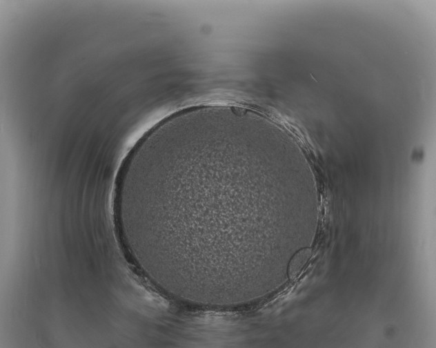 X0000094350292200711091459