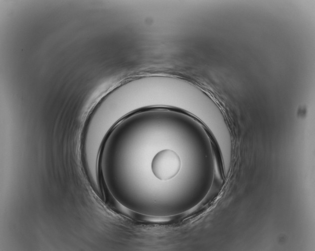 X0000094350293200711091459