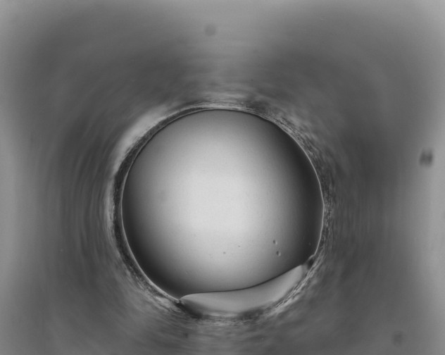 X0000094350294200711091459