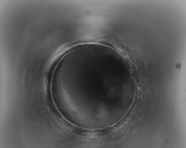 X0000094350295200711091458