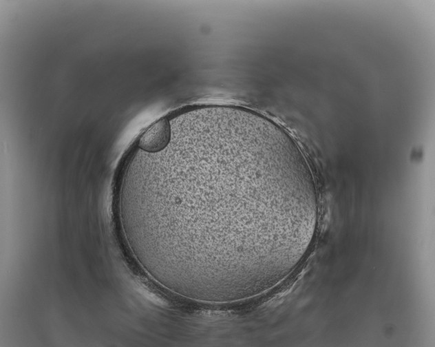 X0000094350296200711091458