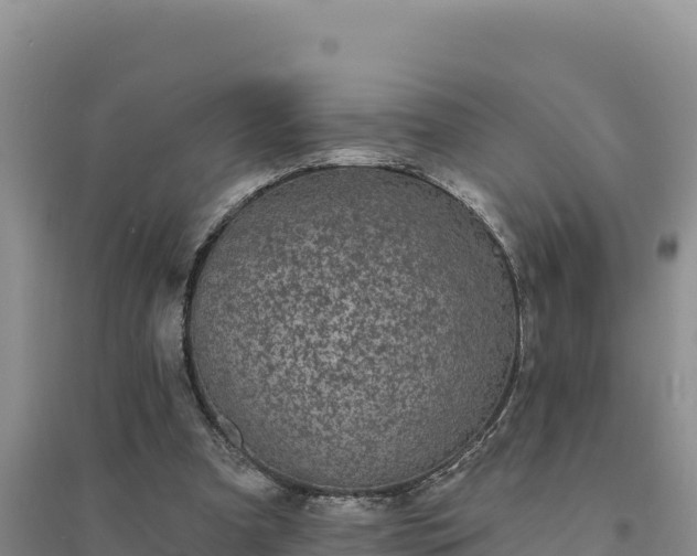 X0000094350297200711091458