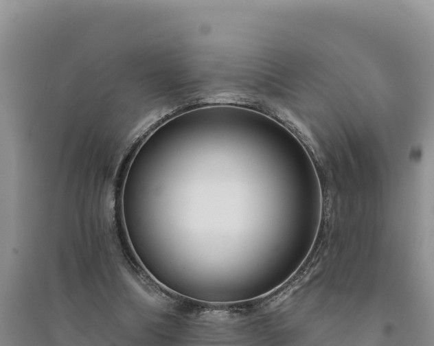 X0000094350298200711091458