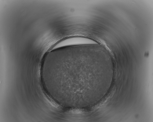 X0000094350299200711091458