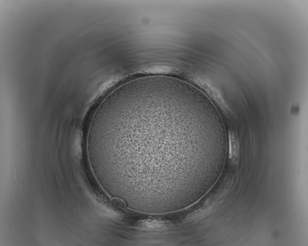 X0000094350300200711091458